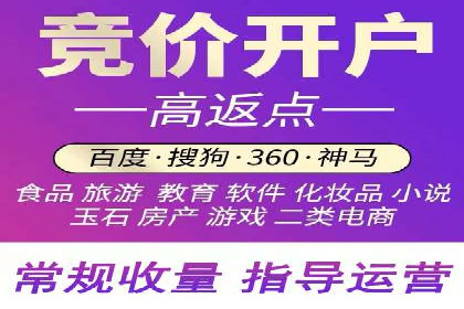 揭秘百度推广：成功案例背后的秘诀